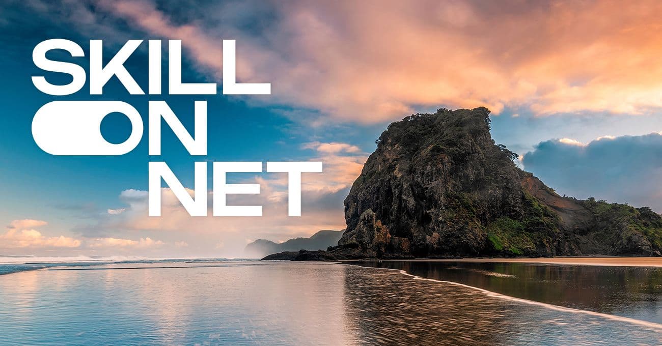 SkillOnNet wins right to apply after NZ$15m New Zealand licence auction